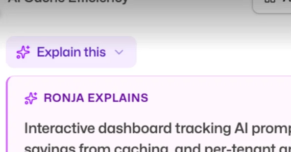 An Explain this button above a dashboard, expanded into a Ronja Explains panel that describes in plain language what the dashboard tracks
